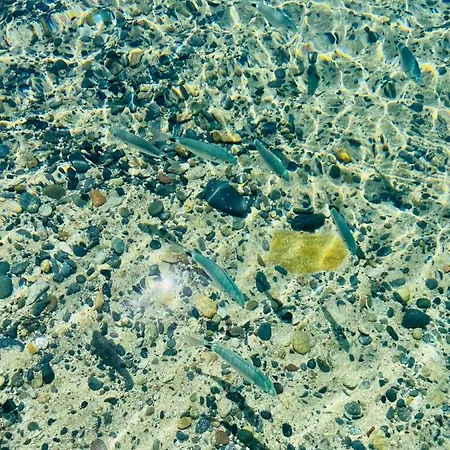 Romantica Panoramica 3* Villasimius