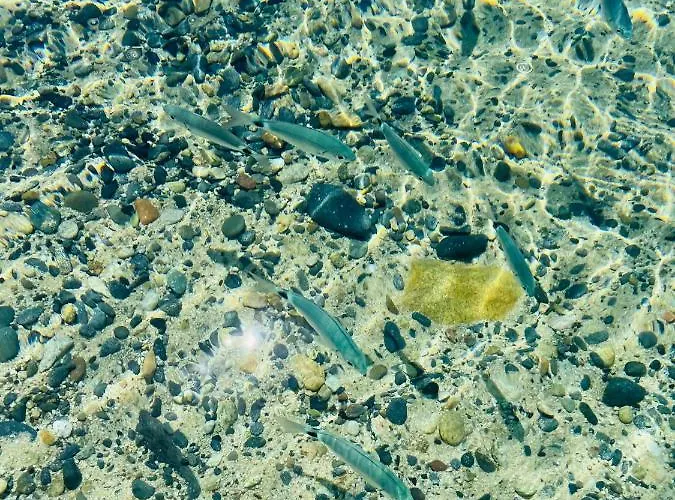 Romantica Panoramica 3* ヴィッラシミーウス